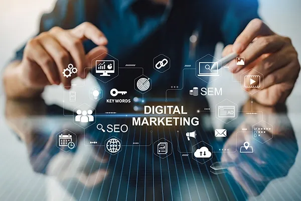 Role of SEO